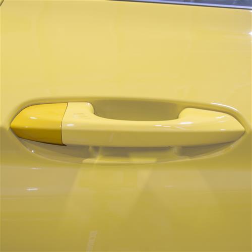 Mustang door deals handle cover