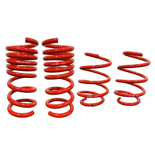2018-2023 Mustang Roush MagneRide Spring Kit - V8 
