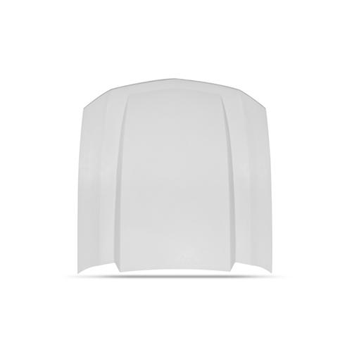 Cervini Mustang Cowl Hood (05-09) – LMR.com - LMR.com