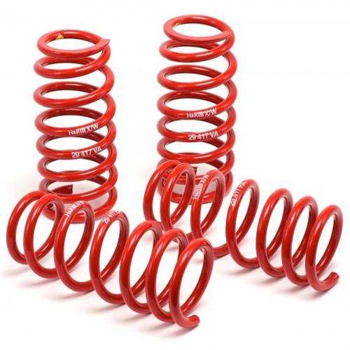1979-2004 Mustang H&R Race Springs - Coupe/Hatchback
