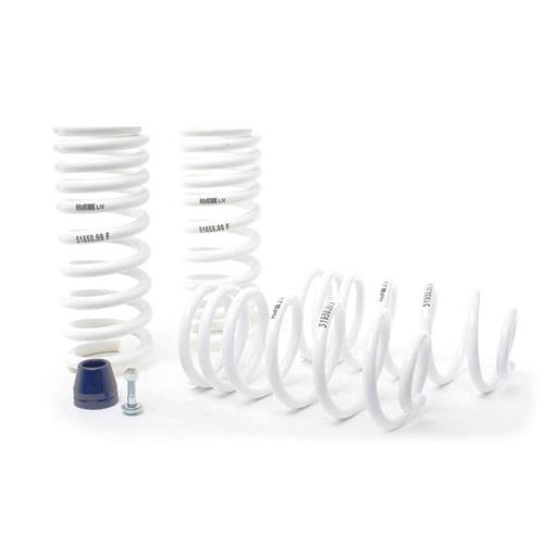 1979-2004 Mustang H&R Super Race Springs - Coupe/Hatchback