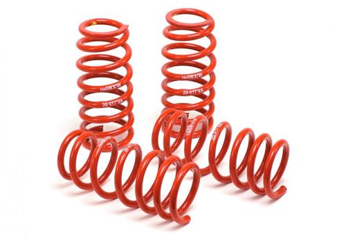 1999-2004 Mustang H&R Race Springs Cobra Coupe