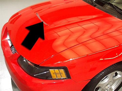 Mustang V6 Hood Opening Grille 03 04 Z16c630aaa Mustang V6 Hood Opening Grille 03 04 Z16c630aaa