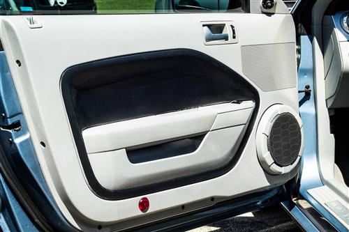 2006 Ford Mustang Door Panel Inserts