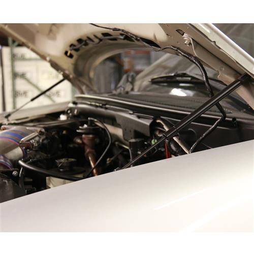 1999-04 F-150 SVT Lightning Hood Strut Kit