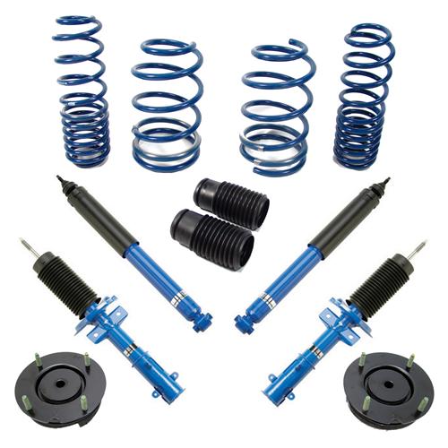 Ford Racing Mustang Strut, Shock And 