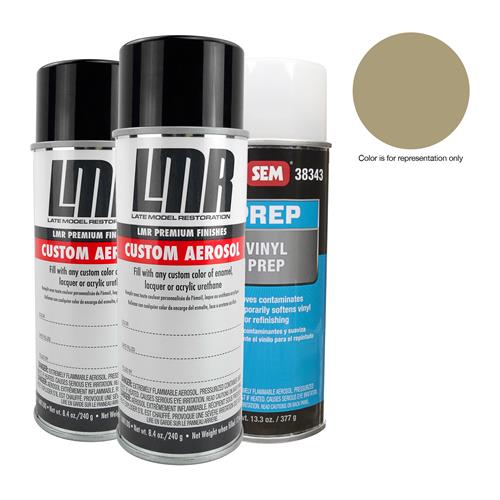 Mustang Interior Paint Kit Dark Parchment (9904)