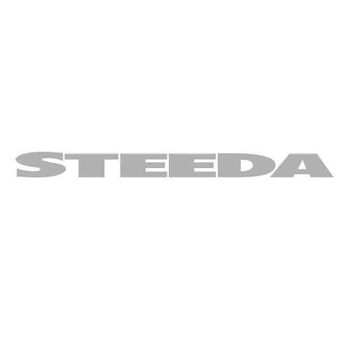 1979-14 Mustang Steeda Windshield Banner Silver
