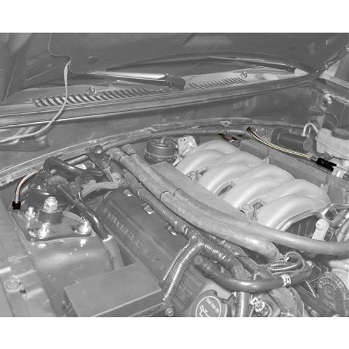 Mustang SVE Coyote Swap Fuel System (19992004) LMR