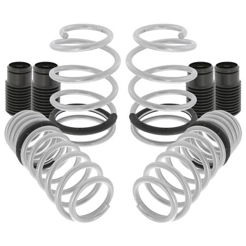 Mustang SVE Progressive Rate Lowering Springs | 05-14