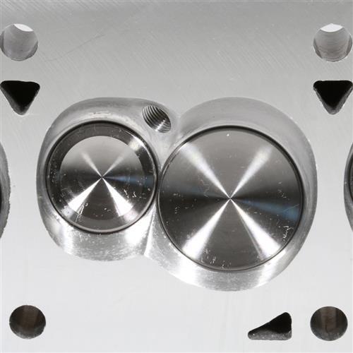 1979-95 Mustang Trick Flow Twisted Wedge 11R 205 Cylinder Heads - 66cc Chamber - Ti Retainers 5.0